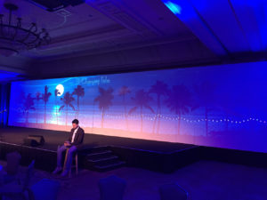 The wide screen for the AEM annual meeting 2015 displays palm trees and lights